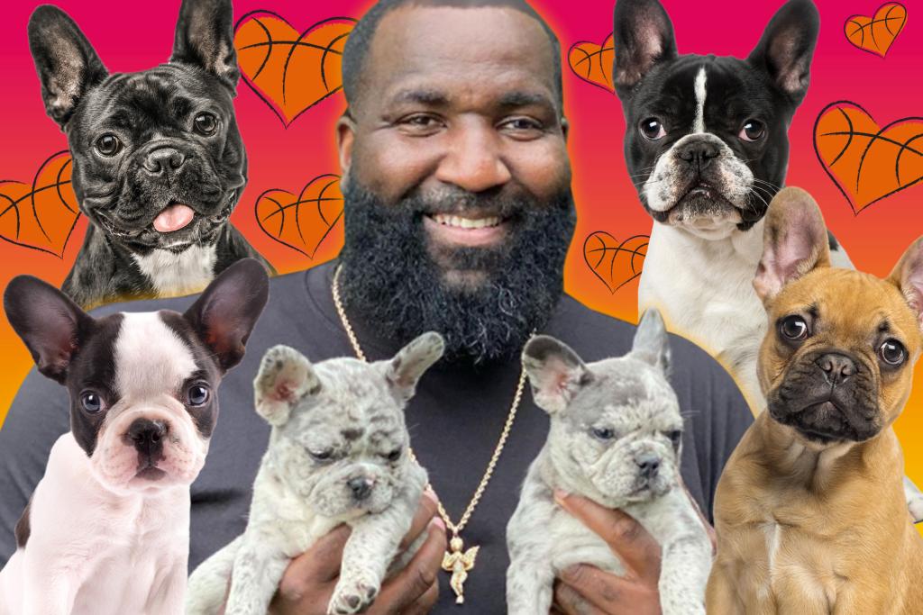 nypost's tweet photo. Inside Kendrick Perkins' multi-million dollar Frenchie business https://t.co/ir66gPkI4F https://t.co/S1g4PgGoVv