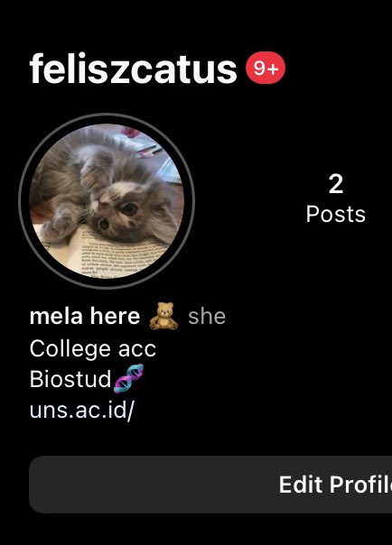 CEK PINNED! tweet media