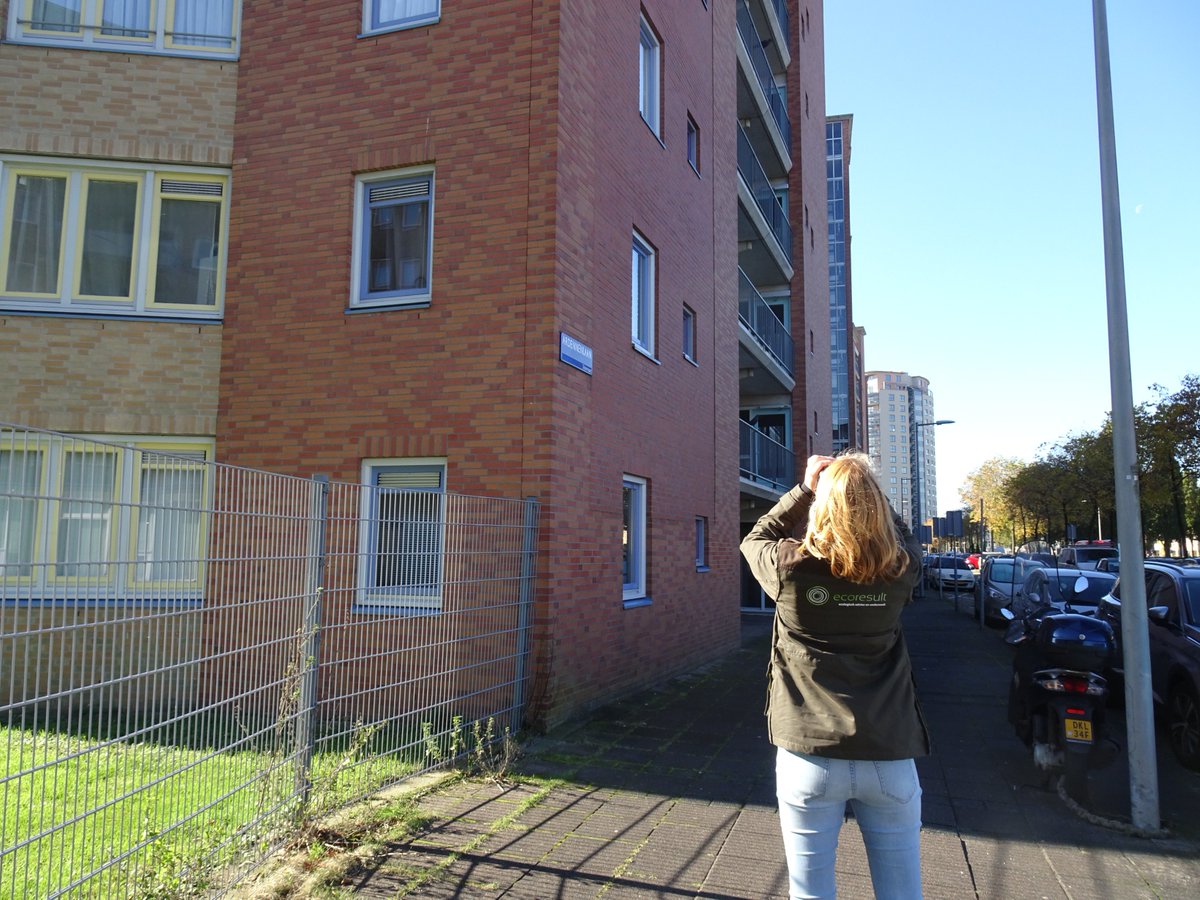 Ecoresult is op zoek naar een Projectleider Ecologie. Deze vacatures worden begeleid door Certus Groep. Reageren op deze vacature kan daarom alleen via hun website: certusgroep.nl/vacatures/ruim…