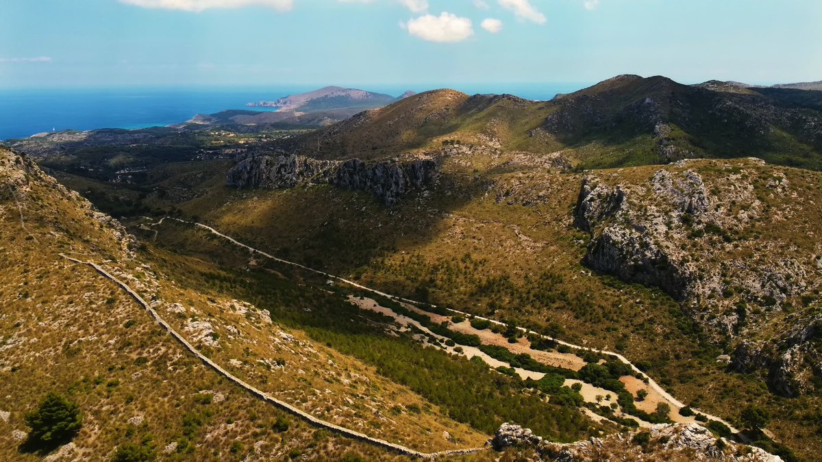 ALCAIB_COAMBIB's tweet photo. @ALCAIB_COAMBIB presenta a la @cmat_ib  fins a 12 propostes de millora al PORN que amplia el #PNLlevant 🙌🌱✨Aquí podeu llegir comunicat i al·legacions 👇
https://t.co/d9nSOKHN7f https://t.co/EjLb3NQGBk