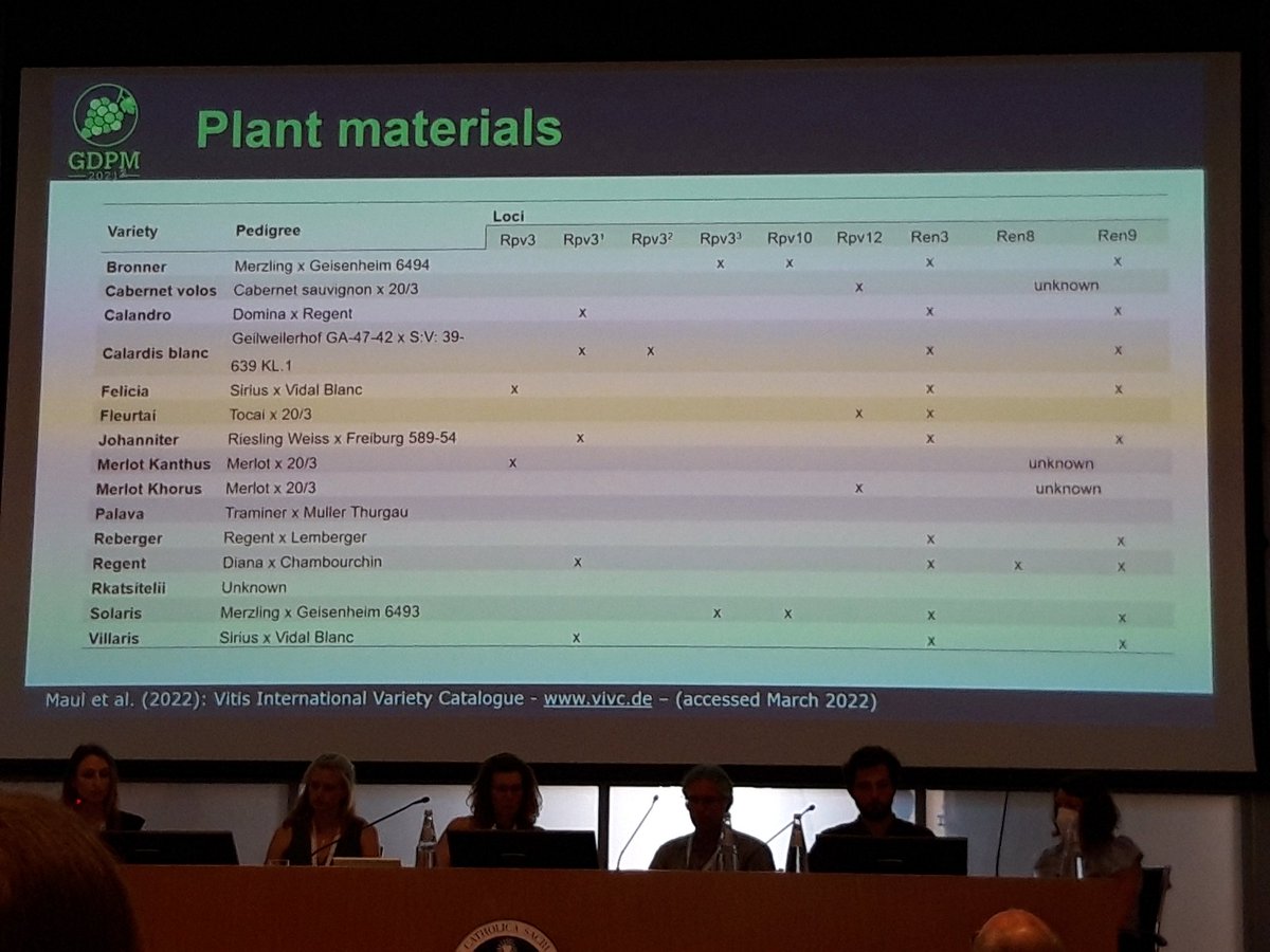 GianfRomanazzi's tweet photo. #GDPM2022 #FedericaBove reports data on infections of #downy and #powdery #mildews and #black #rot on #resistant #grapevine #cultivars https://t.co/yiqUhpEHoz