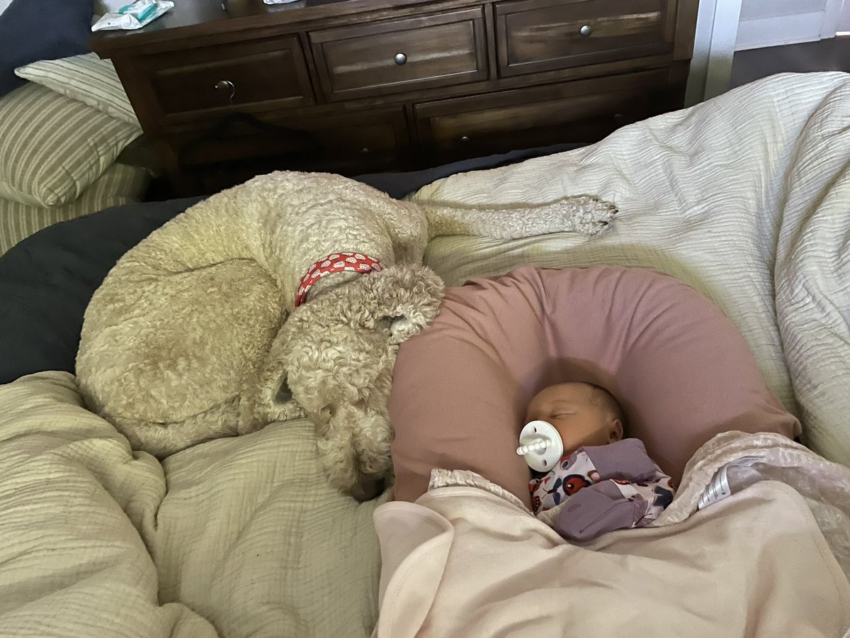 brandonjohns04's tweet photo. My babies ❤️🥹 https://t.co/pdAB0etush