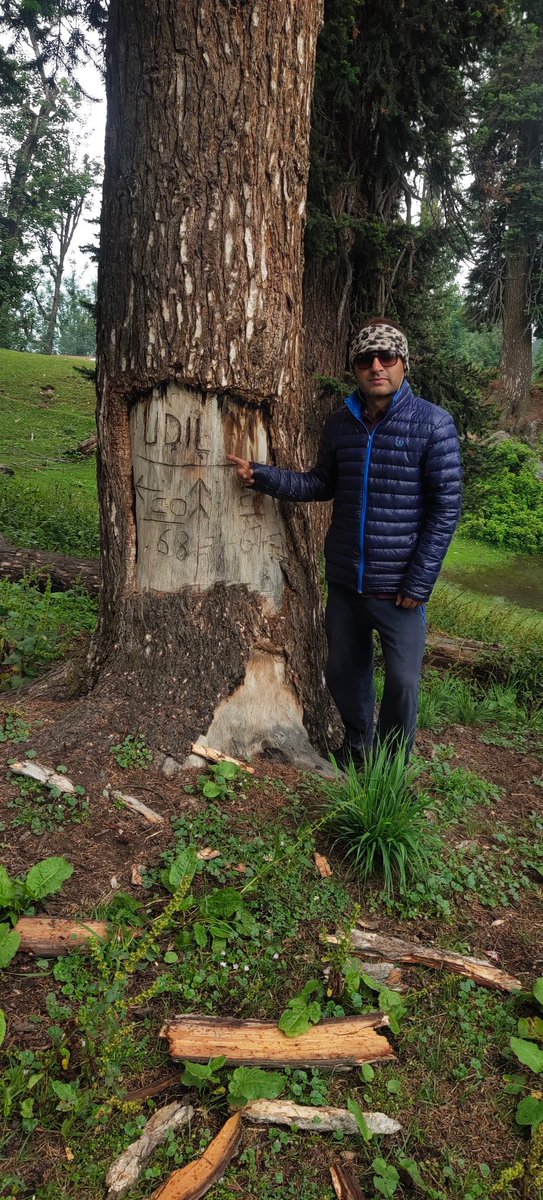 RaA_Thore's tweet photo. #udil chatroo #Kishtwar #westernhimalyas https://t.co/J9aPRsgA25