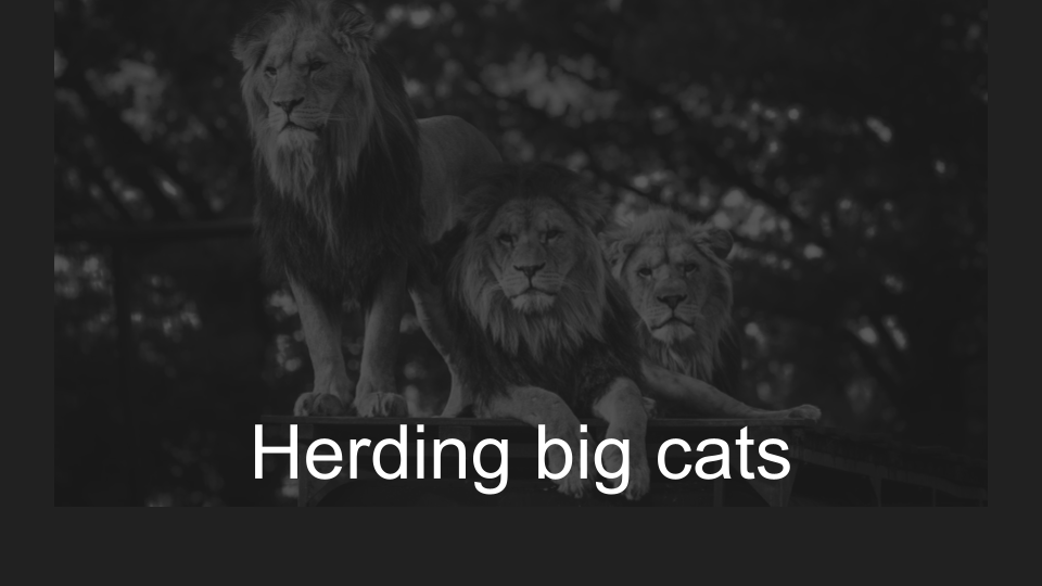 vivek_kumar's tweet image. *How to inspire world-class researchers?* 

Creating the AI research team (dolby.io/audio-research) @Dolby was a crash course in leading and inspiring experts more accomplished than me. 

Sharing some learnings
🧵