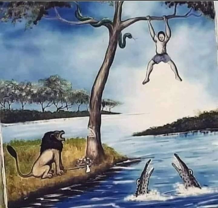 akun gabut tweet media