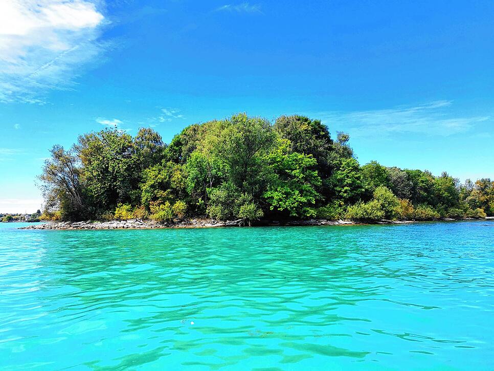 Simon 🐧 tweet media