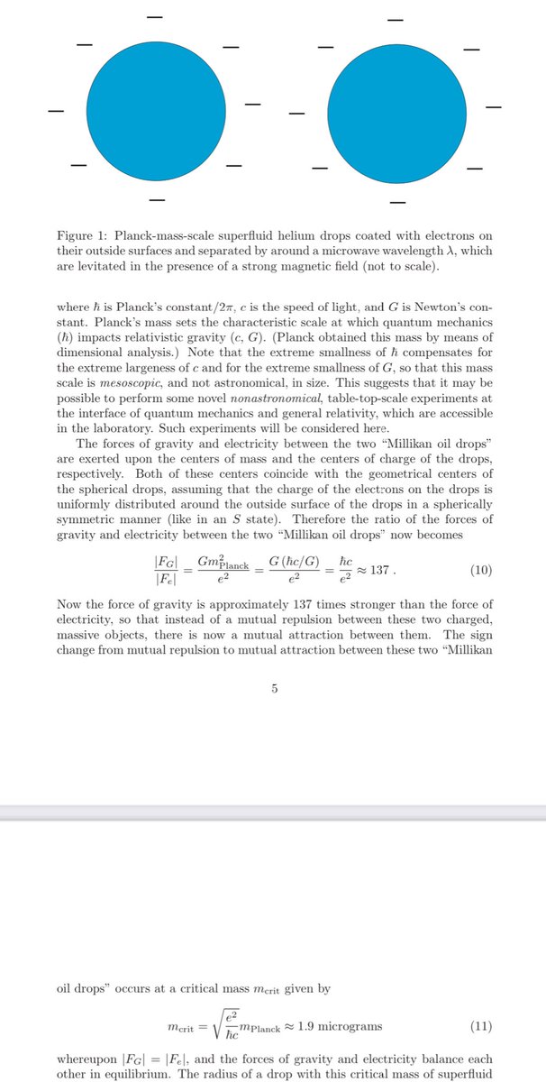 Aephraim Steinberg tweet media