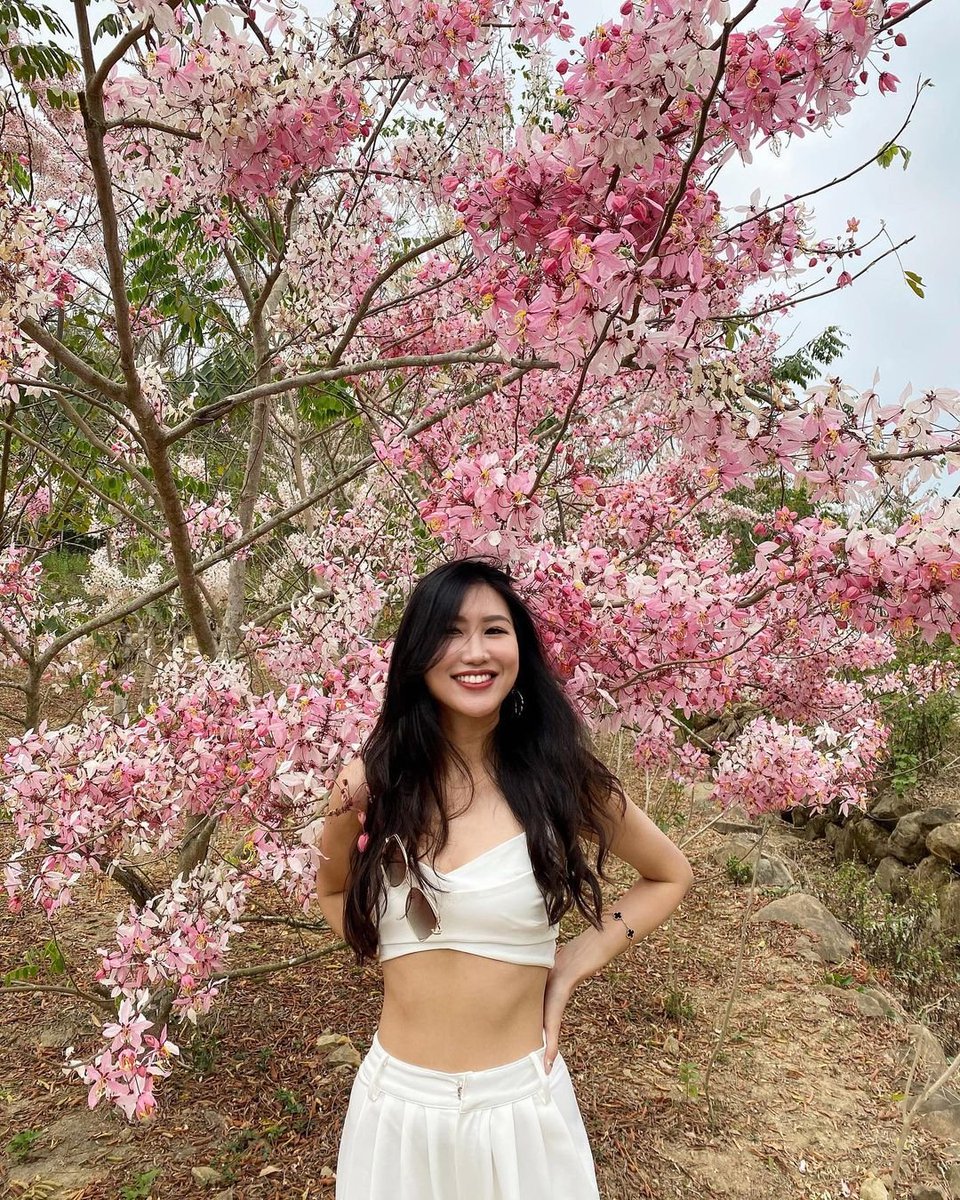 guyfdtkj's tweet photo. Pretty woman with Cherry Blossoms!🌺👩‍🦳
Who is more beautiful?

#whitedress 
#beautifullady
#cherryblossoms https://t.co/yPpTp9WCSY