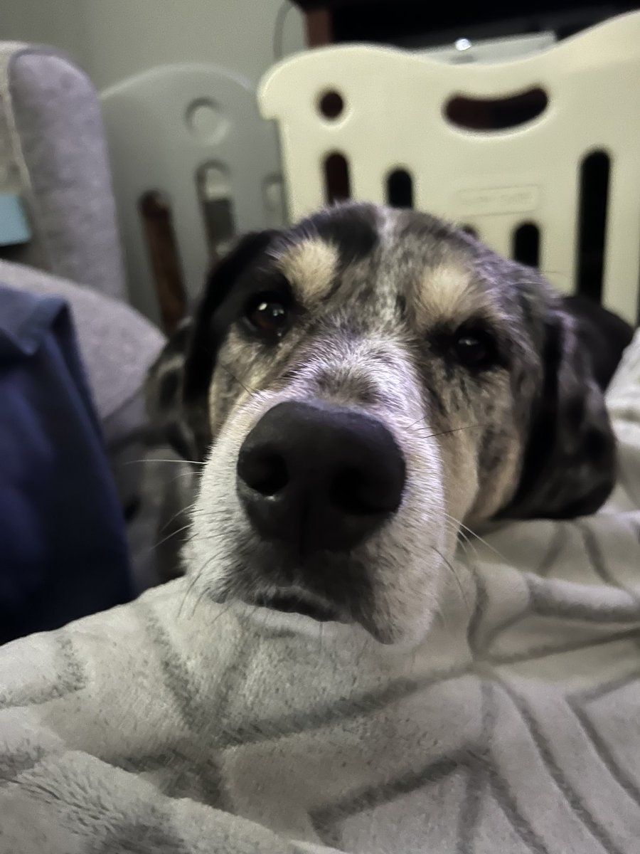 Erin Coleman • The Engaged Spanish Classroom tweet media