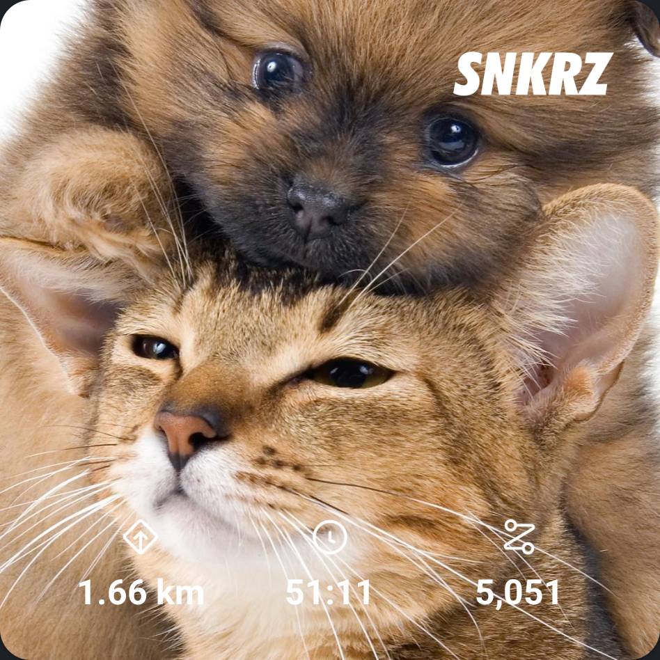 Grfsrma's tweet photo. No art this time but long walk
@theSNKRZ 

#SNKRZ #DAILYMISSION #Move2Earn #MoveToEarn #DAY28 https://t.co/vl2fpfGlQa