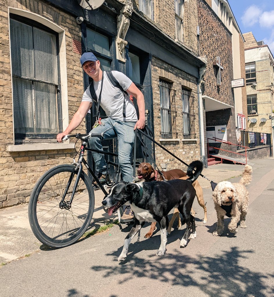 London_Cycling's tweet image. 🐕🐩🐕‍🦺 Happy Friday from Luke and his four-legged team 😍 He's a dog walker (dog cycler??) on Hackney Marshes #DogsOnTwitter