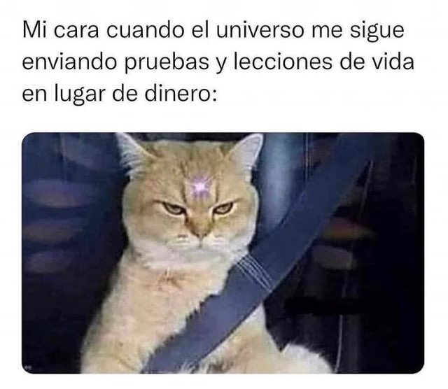 lizmorenita13's tweet photo. 😒😒😒
#FelizViernesATodos https://t.co/scoaYQpUMn