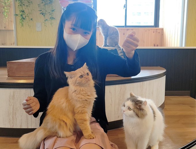 Twitterのコスプレ画像25