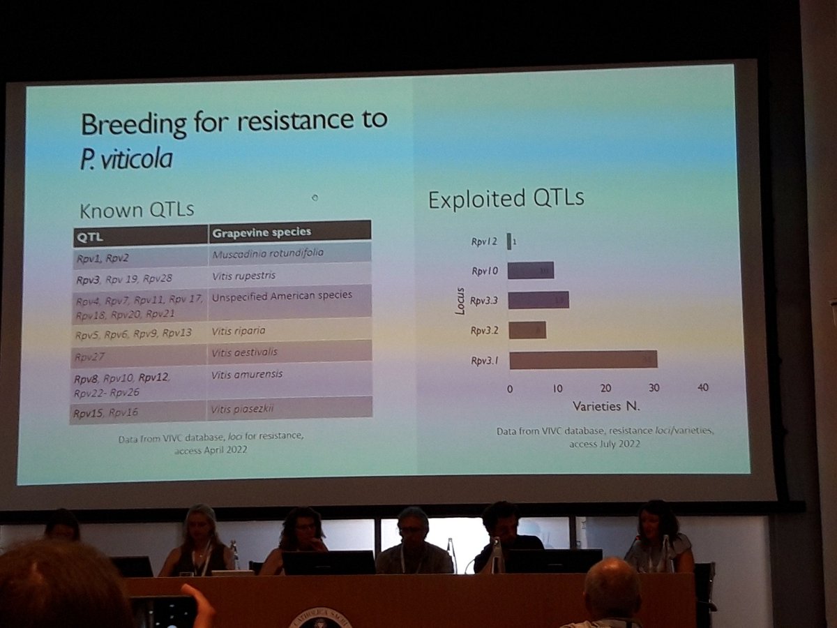 GianfRomanazzi's tweet photo. #GDPM2022 #SilviaToffolatti closes #talks of very interesting 12th #GDPM #workshop talking about #genetics of #resistant #grapevines https://t.co/70Uiw4fKEX