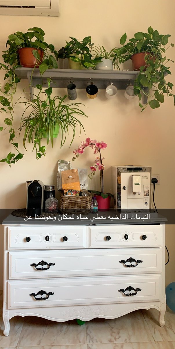 Etra_saad's tweet photo. بعلبة طلاء وقليل من النباتات الداخليه جددنا هذه القطعه وحصلنا على هذا الجمال #ديكور_داخلي #نباتات_داخليه https://t.co/2UCBeveT7O