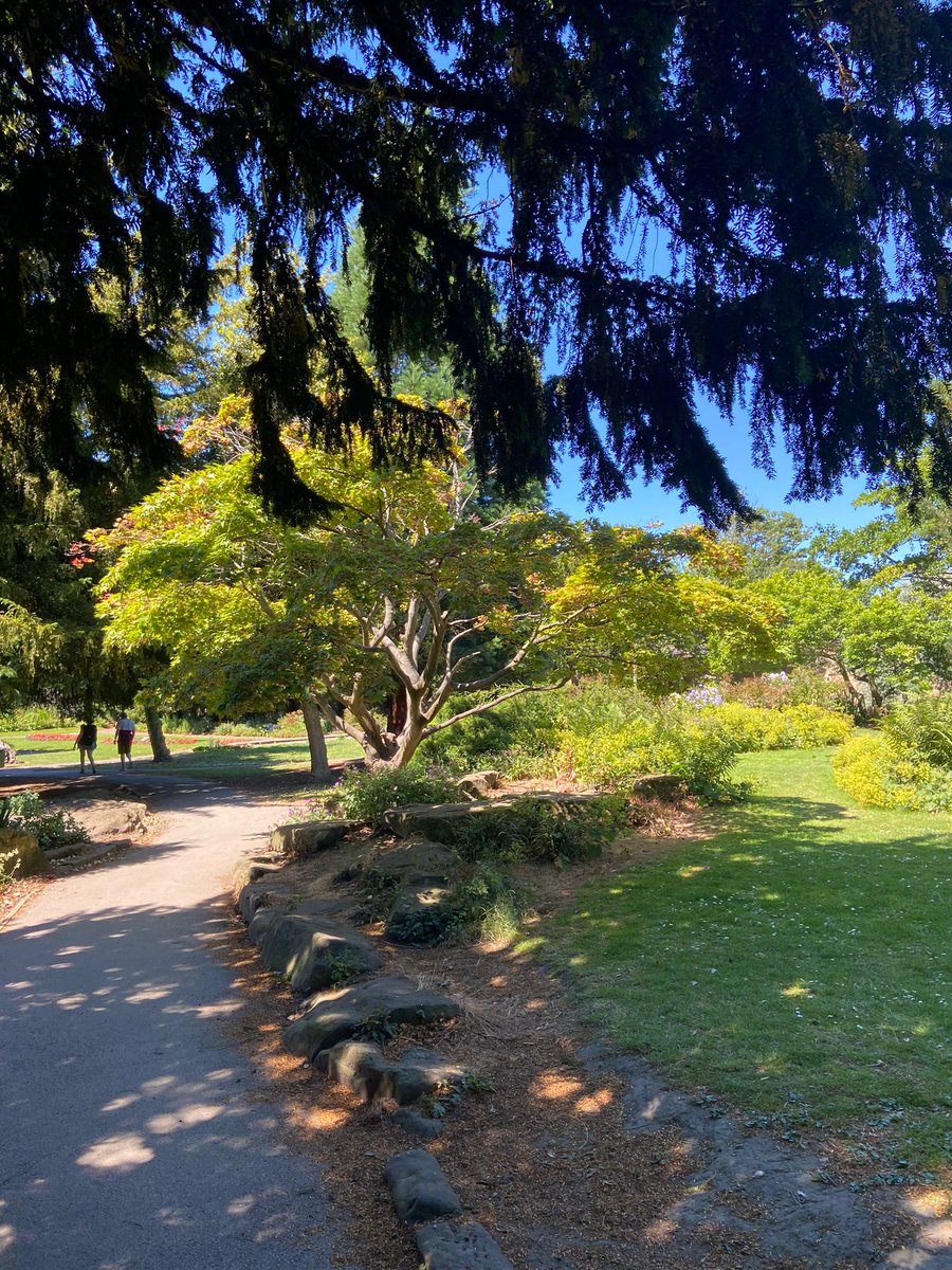 LeedsPaedDent's tweet photo. Horsforth Hall Park is great for a quick green escape!

With an integrated playground, a space for disabled and able bodied kids to play together, skate park, Japanese garden (fit with Koi pond), café and lots of green space, there is something for every family
#LifeInLeeds https://t.co/v7LhGbsdhz
