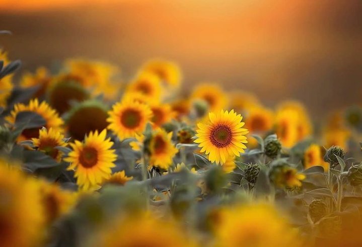 In the midst of everything God is here