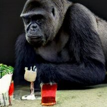 catclawtheatre's tweet photo. barnabas collins gun
moon astronaut trailcam
purple dubai 
bartender gorilla 

#craiyon #JSHcraiyon https://t.co/JEX4oND8tZ