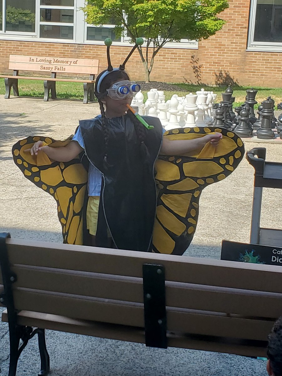 jfteach1's tweet photo. Boces's Butterfly program comes to Mineola Summer classes #Mineolasummer https://t.co/2tSlriw4Op