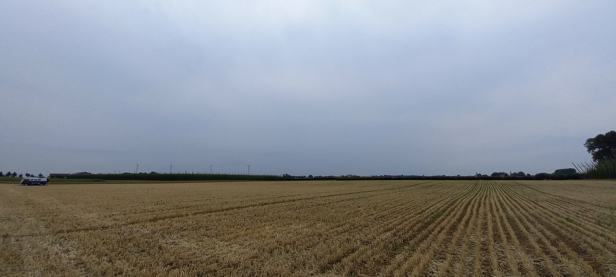 Whitepops's tweet image. Landelijke vergezichten in #Poperinge #vrtweer 15u 22°C