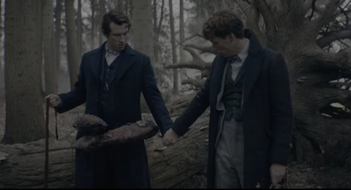 _marishell_art's tweet image. #FantasticBeasts sketches: a thread

#newtscamander
#theseusscamander