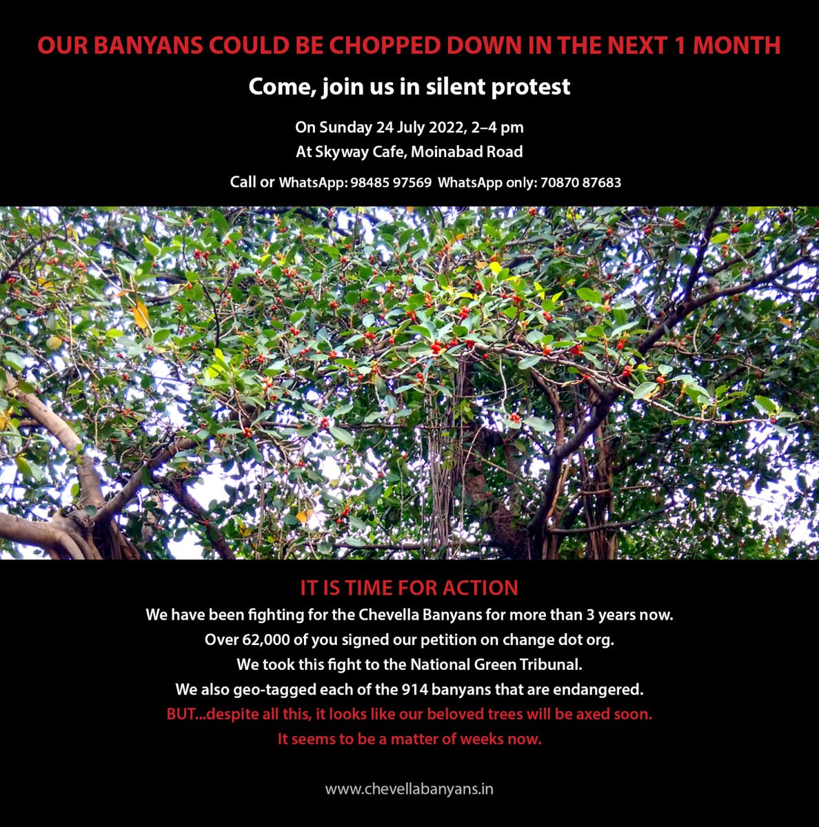 chevellabanyans's tweet photo. As the project gets closer, the #ChevellaBayans need YOU. Please join the "Tree Rakshak" group on WA to get direct notifications. And do join our Silent Protest at the Banyans between 2 to 4 pm on Sunday, July 24 2022.
https://t.co/NytXn2zjMc https://t.co/GYHtJYN8KB