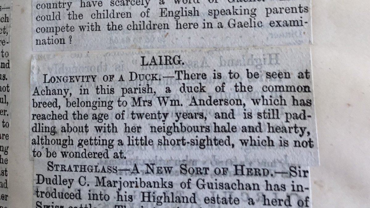 InvRareBooks tweet picture