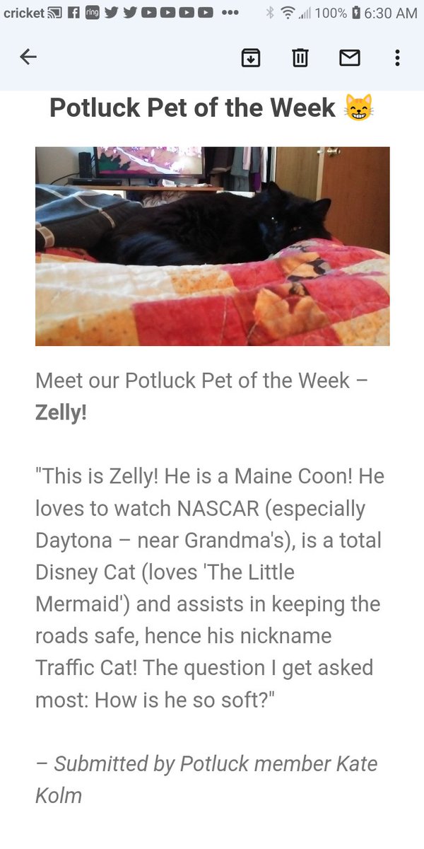 KathrynKolm's tweet photo. @wsdot_traffic @wsdot_north @wsdot @wsdot_tacoma I'm famous! Im pet of the week for Its a Southern Thing! I promise to still help my friends! Be Safe and Be Kind! #trafficcat #safetyfirst #Famous #southerncat https://t.co/qvEE9c9jRK