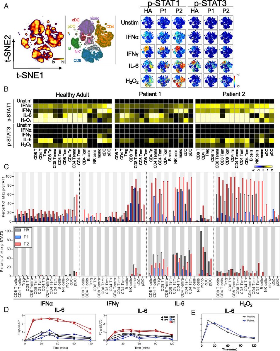 ImmunoHorizons (@immunohorizons) on Twitter photo #NewinIH from <a href="/JeffRathmell/">Jeff Rathmell</a> @VUMC_VCI | #SystemsImmunology Analyses of STAT1 #GOF Immune Phenotypes Reveal Heterogeneous Response to #IL6 and Immunometabolic Roles for #STAT1 #ReadIH #OpenAcess #FreetoRead #Immunometabolism ow.ly/ZcZr50K0AlV #NewinIH from <a href="/JeffRathmell/">Jeff Rathmell</a> @VUMC_VCI | #SystemsImmunology Analyses of STAT1 #GOF Immune Phenotypes Reveal Heterogeneous Response to #IL6 and Immunometabolic Roles for #STAT1 #ReadIH #OpenAcess #FreetoRead #Immunometabolism ow.ly/ZcZr50K0AlV
