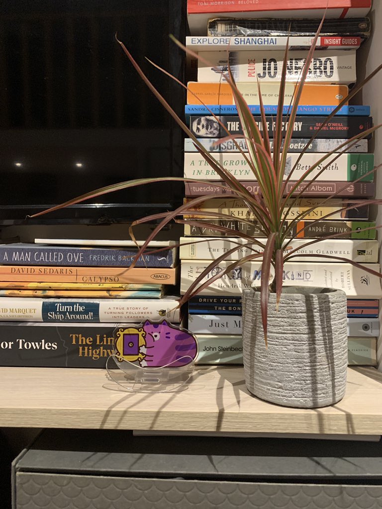 Seventeen tweet media