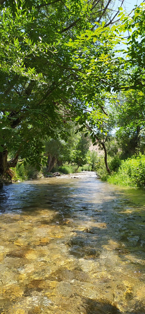svlym_'s tweet photo. #Malatya 🌿
       Huzurlu vakitler...🌿 https://t.co/EVECxylpI1