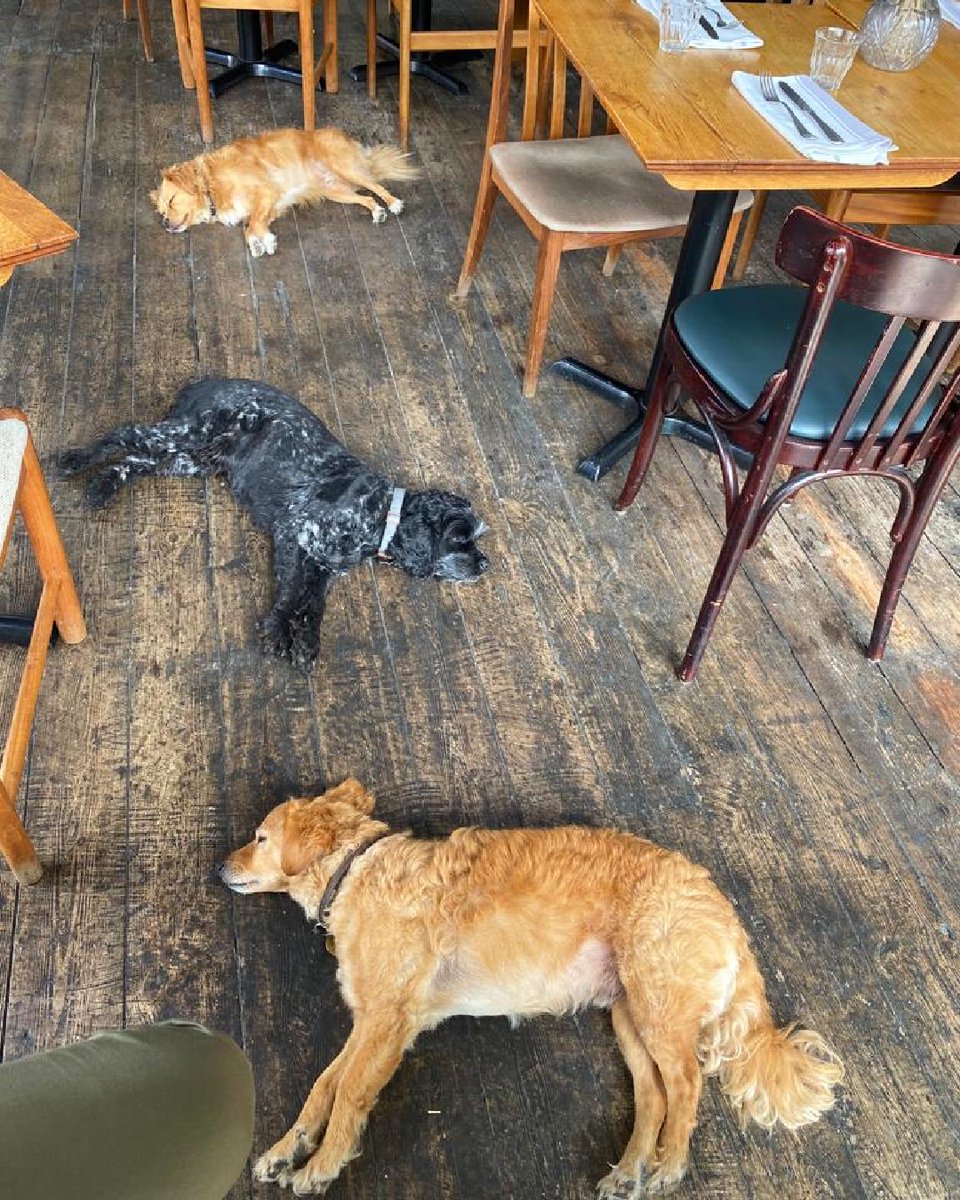 We are dog friendly in Frome as you can see...🐾 Happy weekends Frome & beyond! #dogs #dogfriendlyuk #dogfriendlybar #dogfriendlyplaces