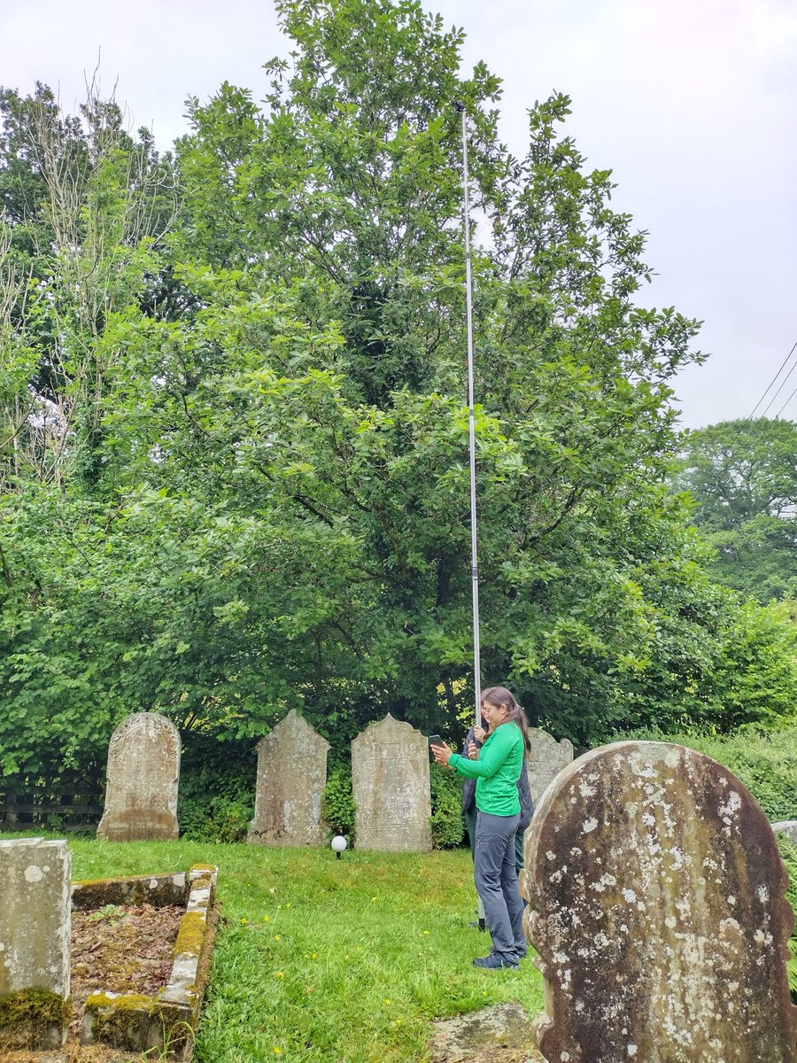 CapeliCymru's tweet photo. Sue and Jayne from @RC_Survey @RCAHMWales using a photopole to take aerial shots of Carmel, Nantmel, cool way to look at your gutters!
#CapeliCymru https://t.co/04EGtlsOqn