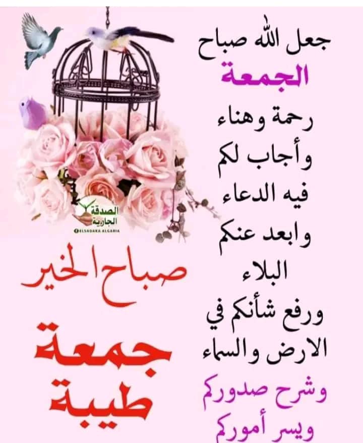 FadelElmo's tweet photo. @btaboohaa https://t.co/lJL7XZmnqg