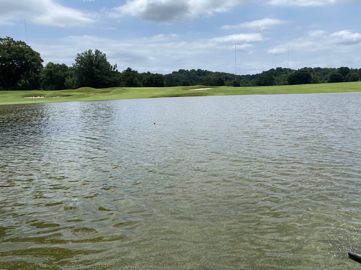 HolstonHillsCC's tweet photo. 5 inches of rain yesterday in the storms, mowing fairways today! Now that’s drainage. Bunkers not so much. https://t.co/V2BKl9OYwR