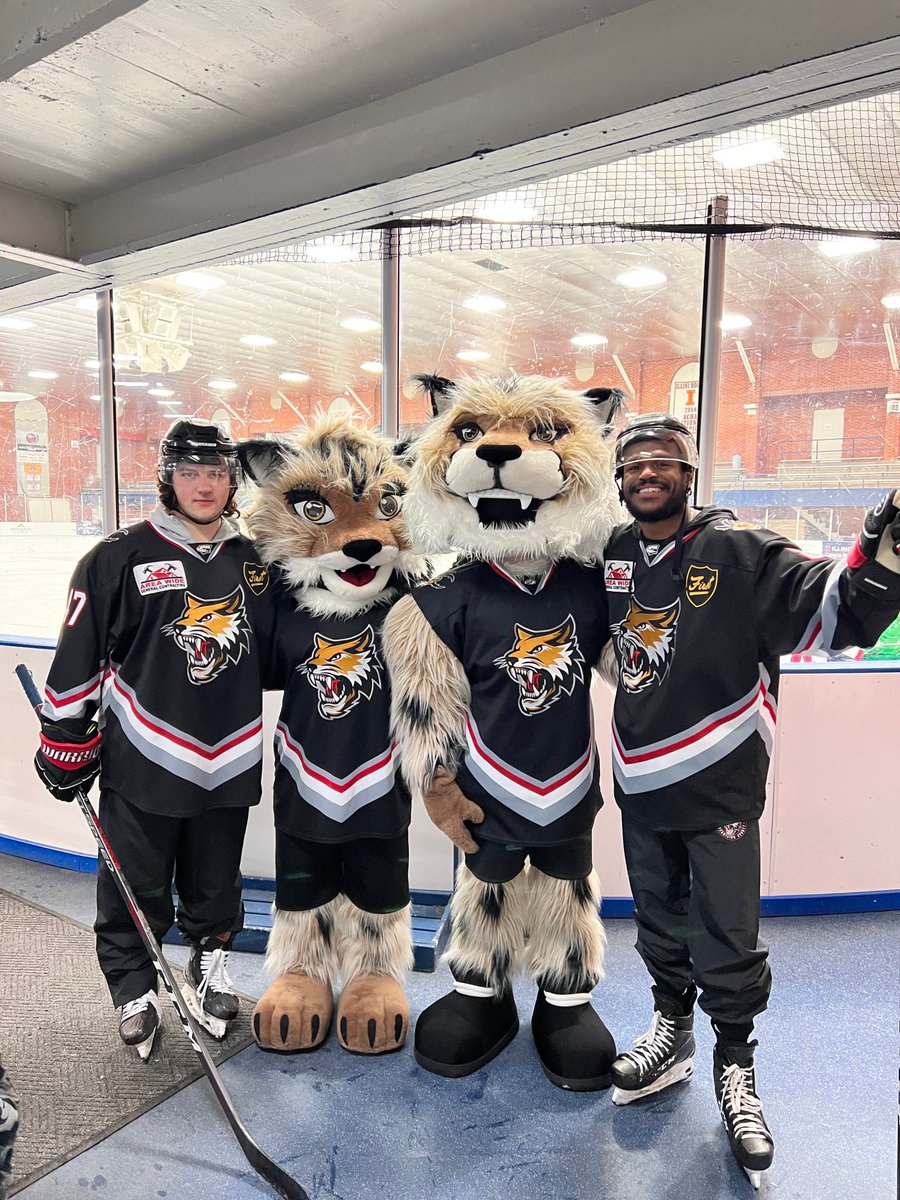 Vermilion County Bobcats tweet media