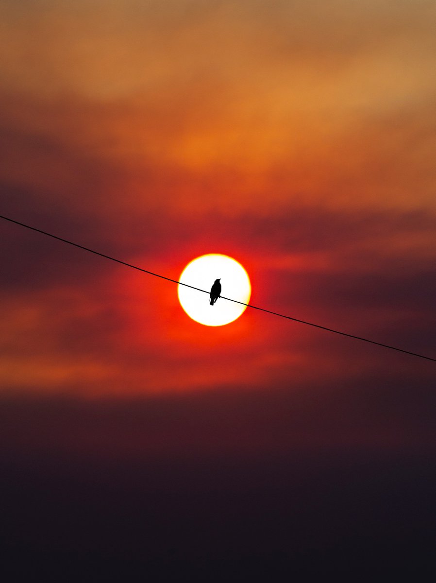 thesoggyblanket's tweet photo. my favorite sunsets i’ve photographed https://t.co/bG6XmMaGR0