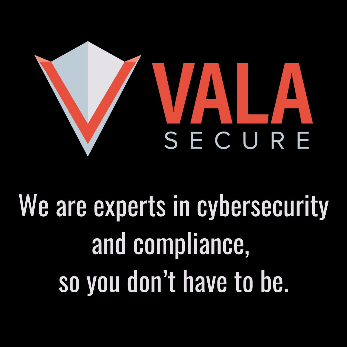 vala_secure's tweet photo. At Vala Secure we are experts in cybersecurity and compliance, so you don't have to be.  This mission is core to our company and how we serve you.  Find out more at https://t.co/KHmTPBH4st https://t.co/l1goHGvd82