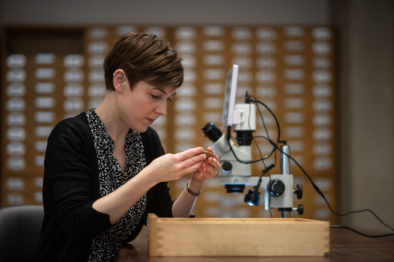 thePeerJ's tweet image. PeerJ are delighted to announce the winners of three PeerJ Awards from the Progressive Palaeontology 2022 conference, this year held at the University of Lincoln in June.

Meet the award winners bit.ly/3PNtuhT

@ProgPal2022 @ThePalAss