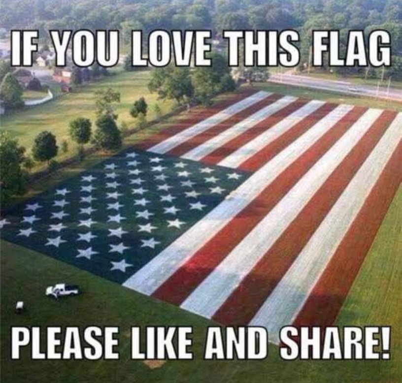🇺🇲 𝓒𝓱𝓻𝓲𝓼𝓽𝓸𝓹𝓱𝓮𝓻 𝓕𝓵𝓮𝓶𝓲𝓷𝓰 🇺🇸 (@therealxylynx) on Twitter photo 