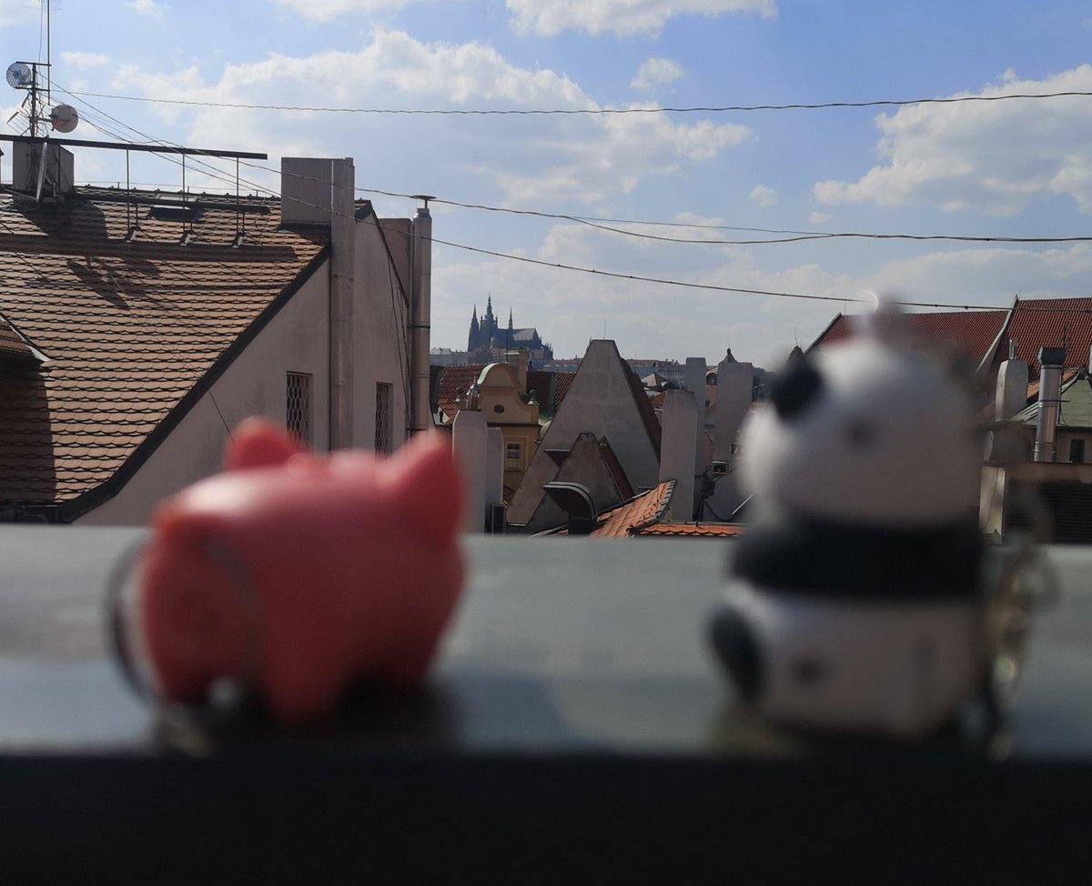 PandaAndPig_'s tweet photo. We love looking at the #Prague views, even though @PearlJam has been cancelled #pearljam #pjprague https://t.co/PVHviP1eED