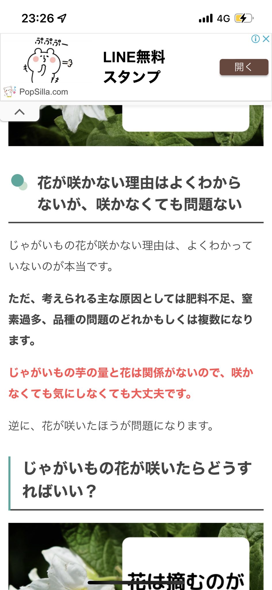 تويتر Aiko Official على تويتر 袋は日焼けしている 葉っぱは葉焼けな気がする 太陽に当たりすぎかな 瀬戸さんのところは花が咲いてるけれど事務所のじゃがいもは花咲いてないねん 不安 T Co 5bw7aruzh9