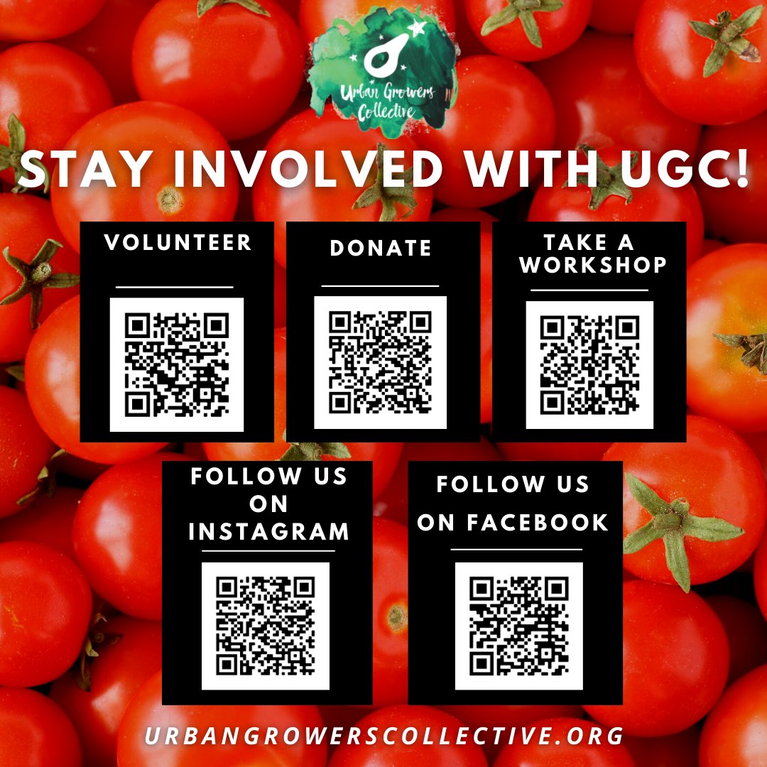 Urban Growers Collective tweet media