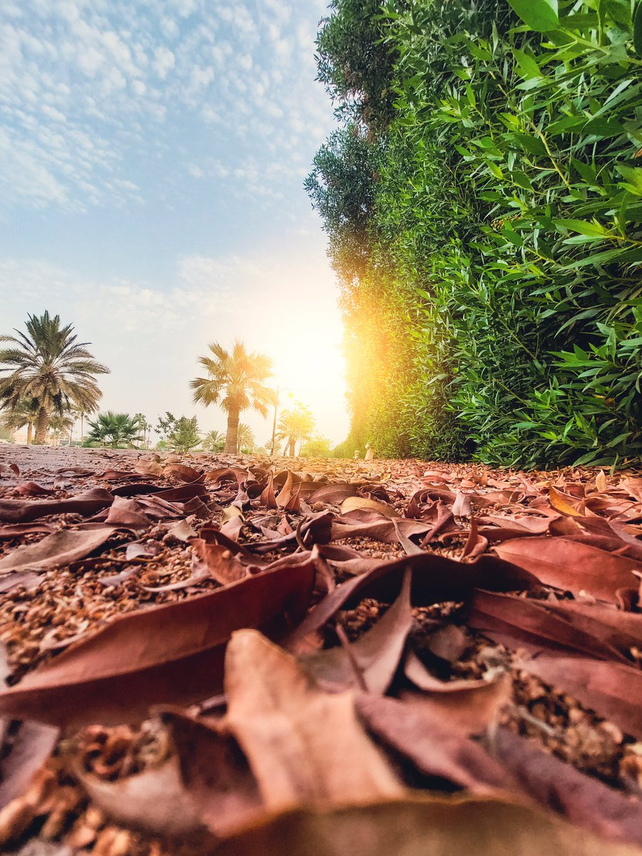 jaber_aburshaid's tweet image. بعض الصور لممشى الحوامل في #راس_تنورة من تصويري بجهاز #Samsung #a52s ، والتعديل ب3 برامج #lightroom #LD #snapseed ،،، ان شاء الله تعجبكم الصور 
#jaber_aburshaid #جابر_أبورشيد #رحيمة