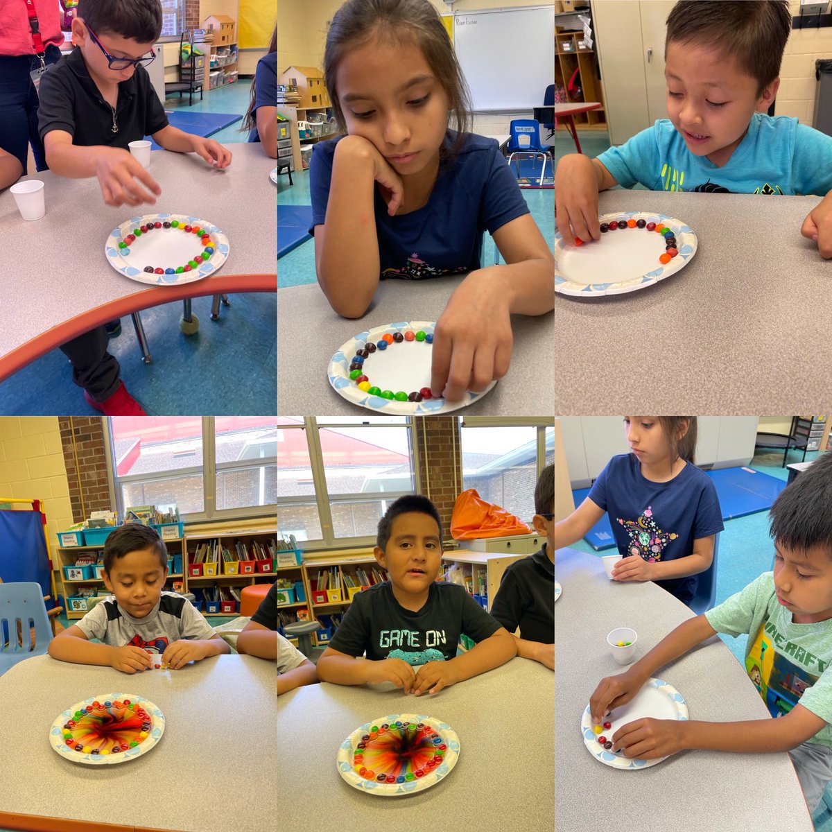 Ms. Megan tweet media