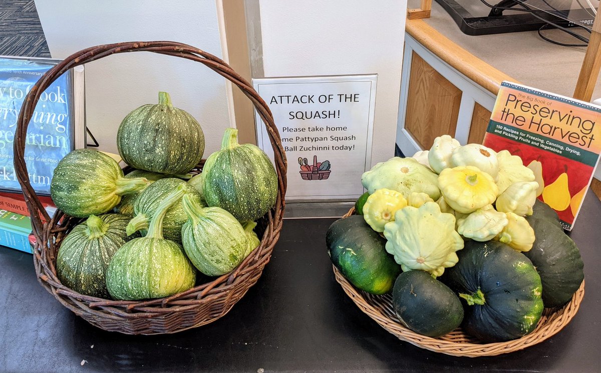 The children's garden is overflowing with squash! Stop by and grab a few for dinner. 
#TasteofMansfield