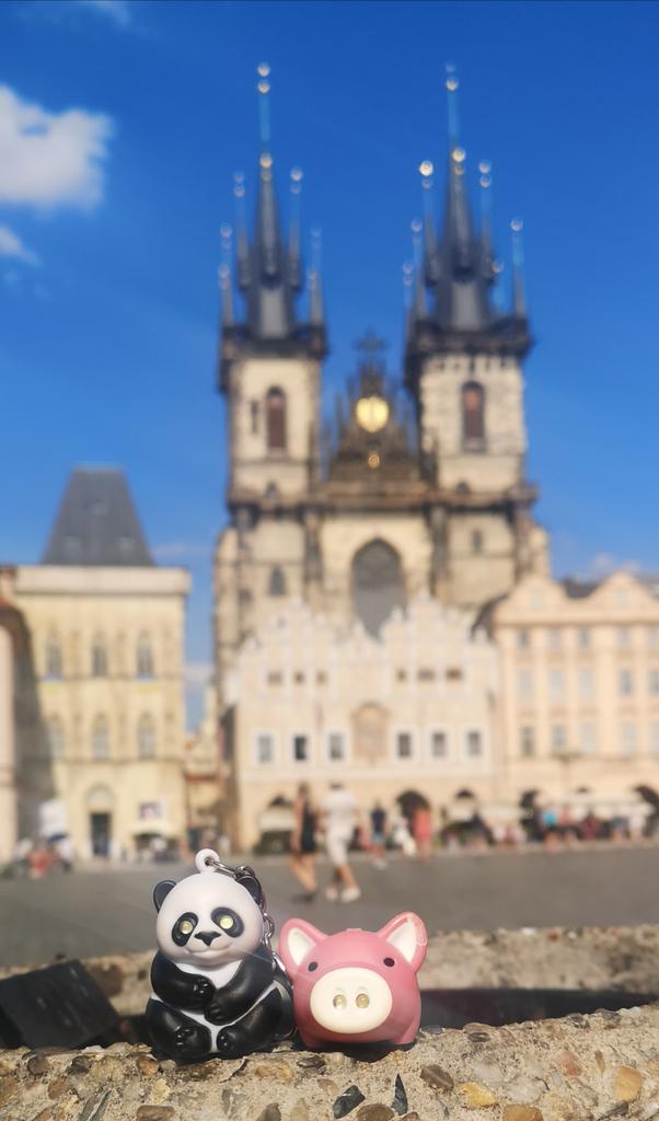 PandaAndPig_'s tweet photo. #pandaandpig on tour #pearljam #Prague #pjprague https://t.co/WAEeEC8rG6