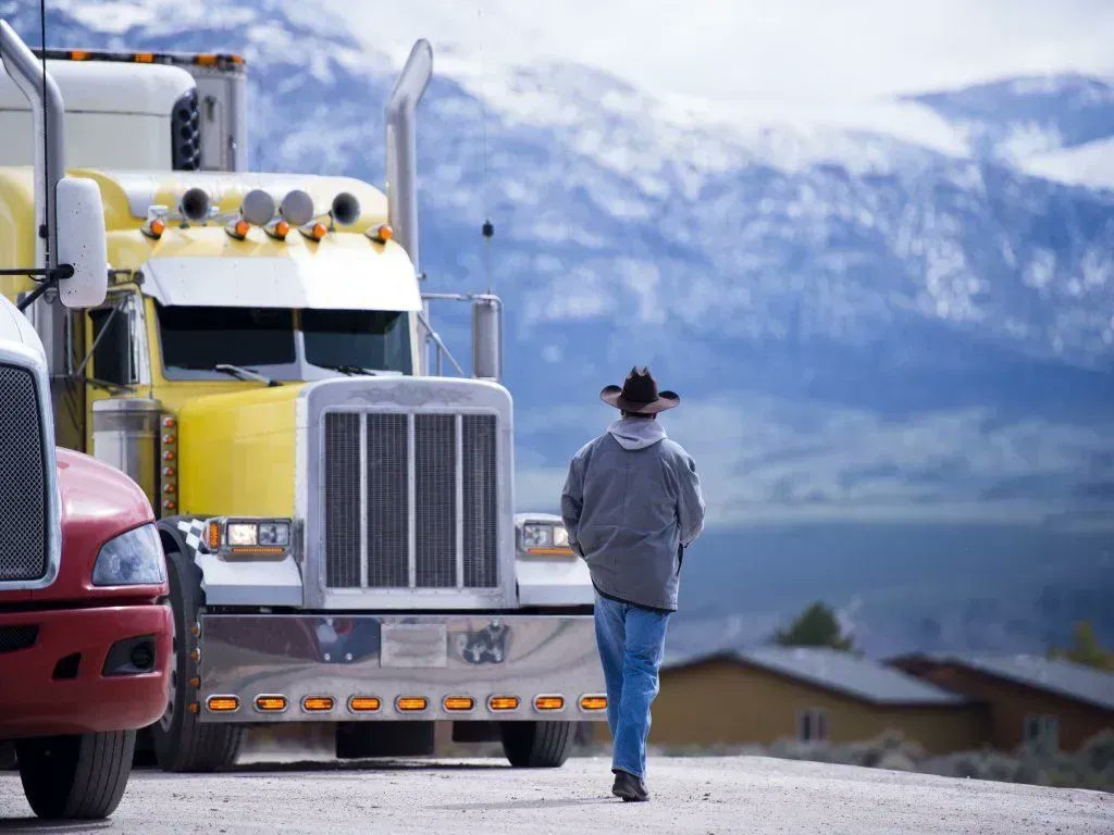 CraveEngines's tweet photo. Braving the Road as a Livestock Hauler https://t.co/oYuiESMxCr #Freightliner #Kenworth #Peterbilt #International #Trucking #Trucker #BeefMeet #CattleCon22 https://t.co/rZ26zp6hOF