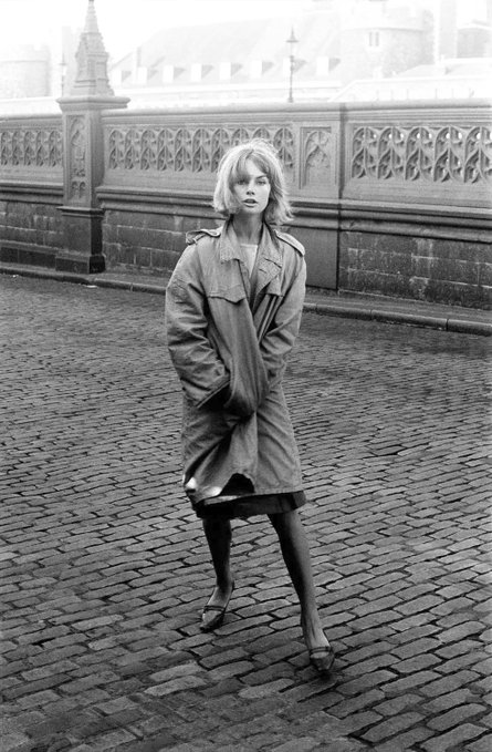 daniel sienkiewicz tweet media