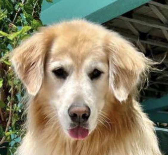 Emma Skinner🏳️‍🌈🏳️‍⚧️🇺🇦 tweet media